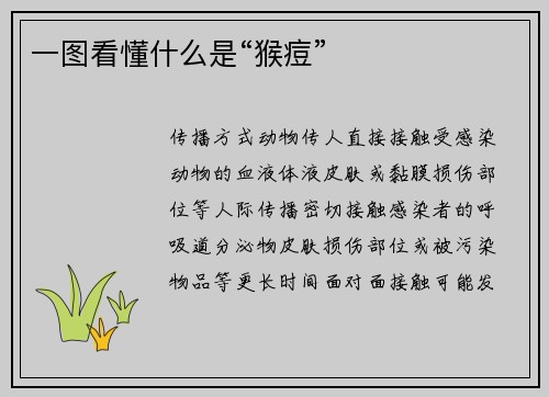 一图看懂什么是“猴痘”